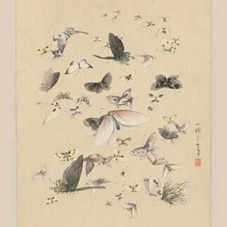 Butterflies 2 by Settso