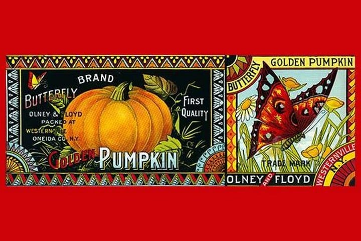 Butterfly Brand Golden Pumpkin