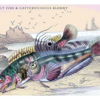 Butterfly Fish and Gattoruginous Blenny by Robert Hamilton