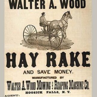 Buy the Walter A. Wood Hay Rake