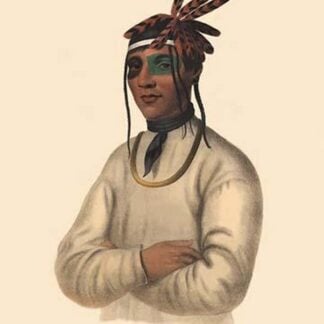 Caa-Tou-See (An Ojibrey) by Mckenney & Hall