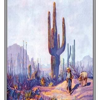 Cactus and Man
