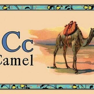 Camel #2