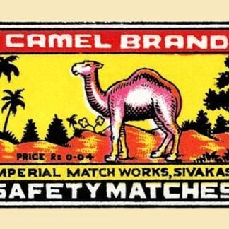 Camel