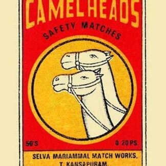 Camel Heads