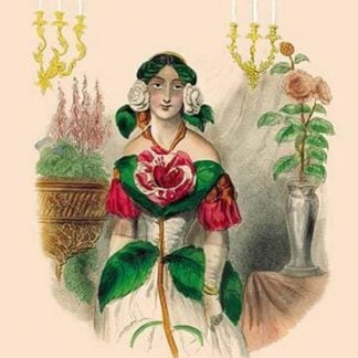 Camellia by J.J. Grandville