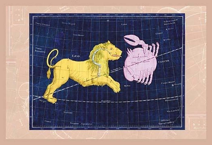 Cancer and Leo