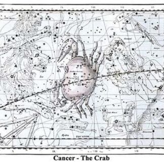 Cancer - the Crab by Alexander Jamieson