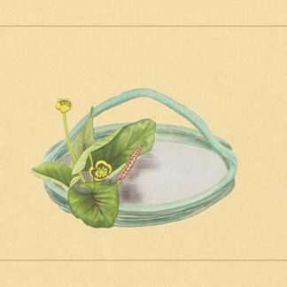 Candock by Sofu Teshigawara