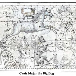 Canis Major the Big Dog by Alexander Jamieson
