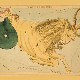 Capricorn by Jehosaphat Aspin