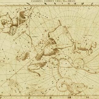 Cassiopea Cepheu Ursa Minor Draco by Sir John Flamsteed