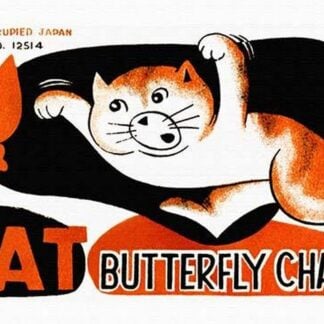 Cat Butterfly Chaser