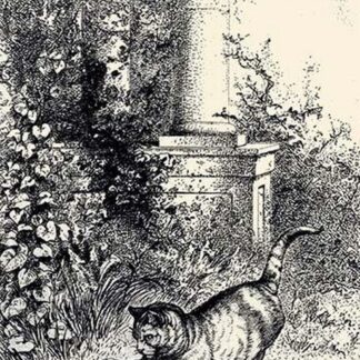 Cat Playing with Adder by Karl Bodmer