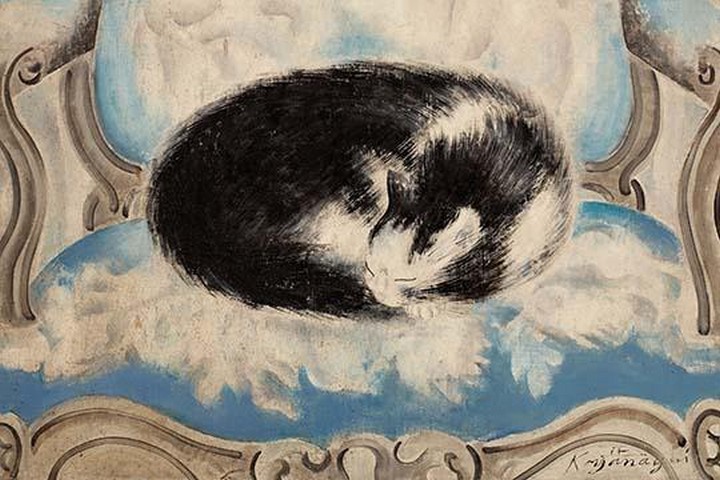 Cat sleeping on an armchair by Sei Koyanagui