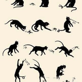 Cat versus Frog by Theophile Alexandre Steinlen