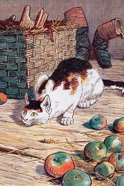 Cat with Apples by Randolph Caldecott