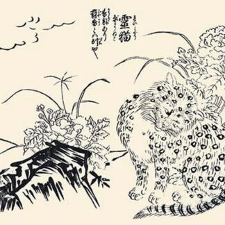 Cat with black markings on its fur and a fragrant rose mallow by Morikuni Tachibana