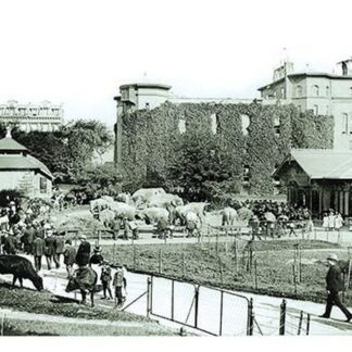 Central Park: The Menagerie c.1873