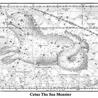 Cetus the Sea Monster by Alexander Jamieson