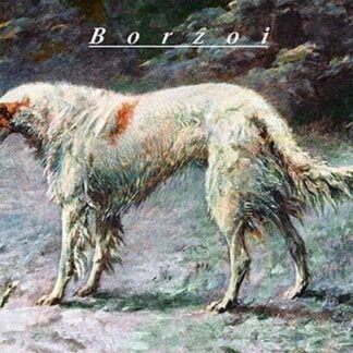 Champion Borzoi