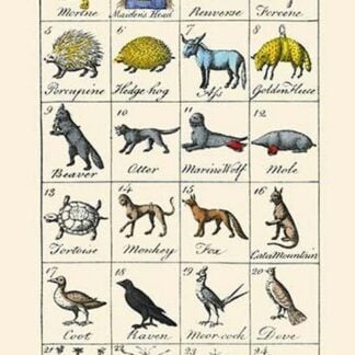 Charges by Hugh Clark