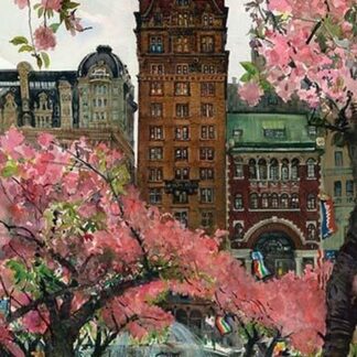 Cherry Blossoms by Noel Miles