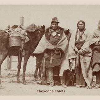Cheyenne Chiefs