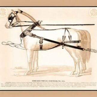 Chicago Truck Harness
