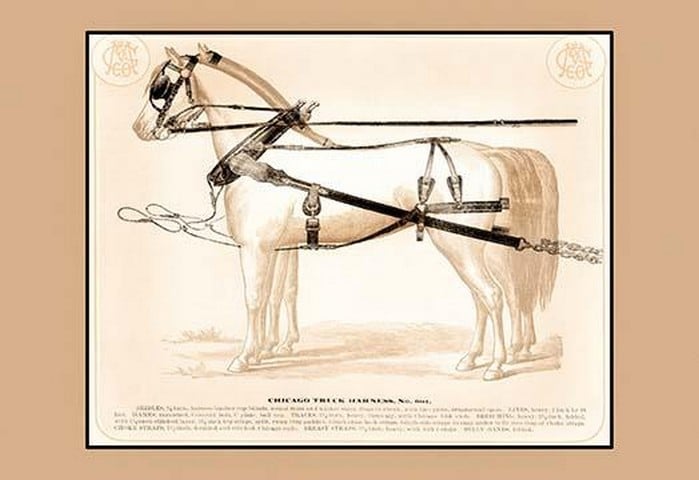 Chicago Truck Harness
