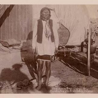 Chief Kicking Bear