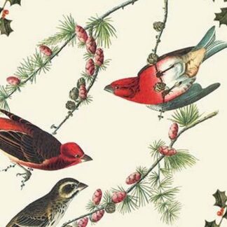 Christmas Birds and Holly by Sara Pierce