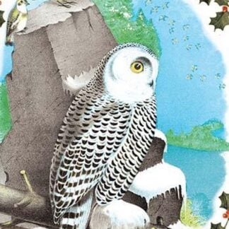 Christmas Snow Owl by Sara Pierce