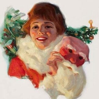 Christmas Surprise by Ronald Lee Anderson