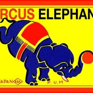 Circus Elephant