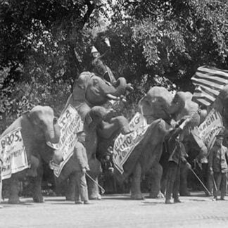 Circus Elephants Visit the White House