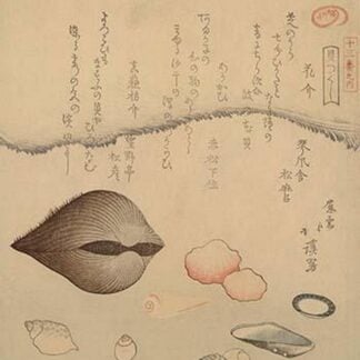 Clams by Hokkei Totoya