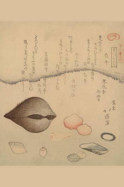Clams by Hokkei Totoya