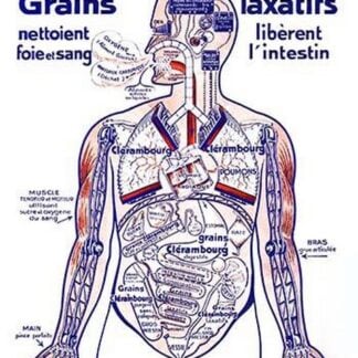 Clerambourg Grains Laxatifs