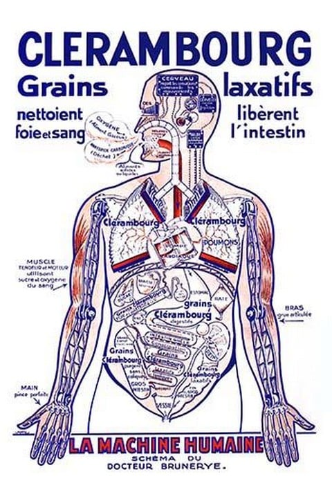 Clerambourg Grains Laxatifs