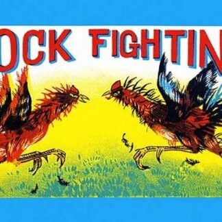 Cock Fighting
