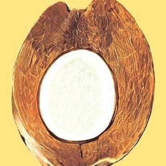 Coconut Core