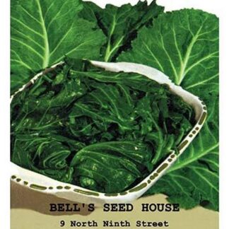 Collards: Georgia