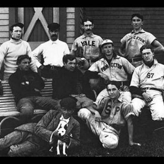 College Baseball Players with Terrier