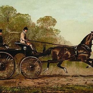 Columbine by Samuel Sidney