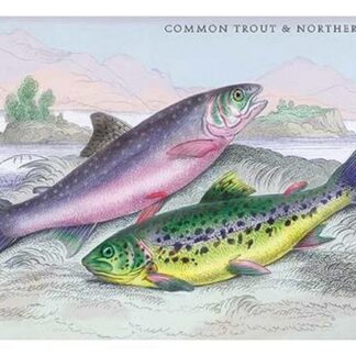 Common Trout and Northern Char by Robert Hamilton