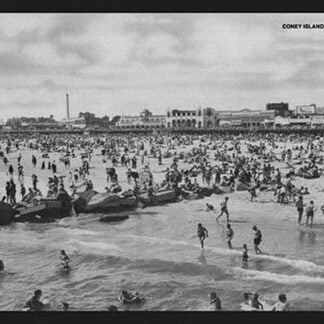 Coney Island Waterfront
