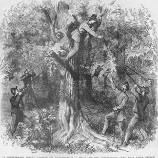 Confederate Officer caught in a Tree by Frank Leslie