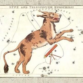 Constellation of Lynx