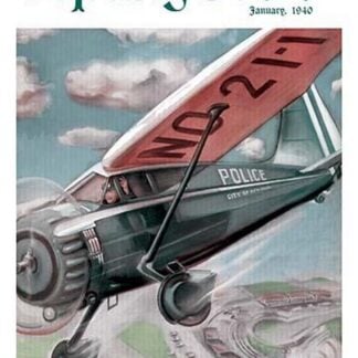 Cop in Single Engine Plane